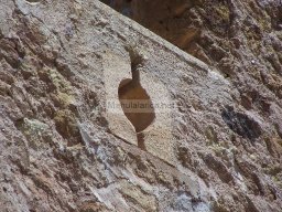Castillo de Mazarrón 2007